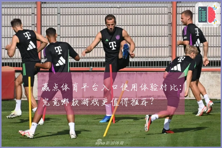 赢点体育平台入口使用体验对比：究竟哪款游戏更值得推荐？